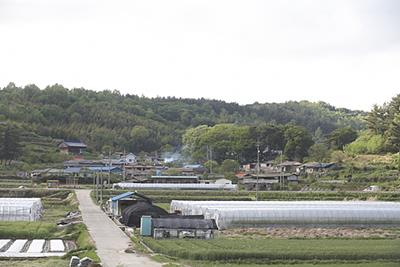 명교리 명교마을 썸네일 이미지