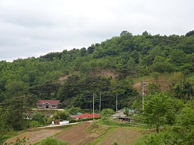 박달리 봉곡마을 썸네일 이미지